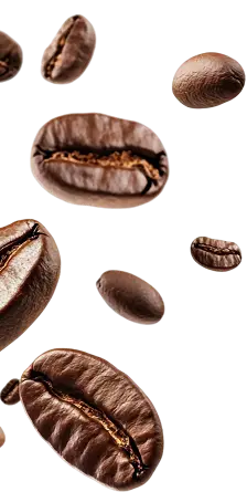 graos 1